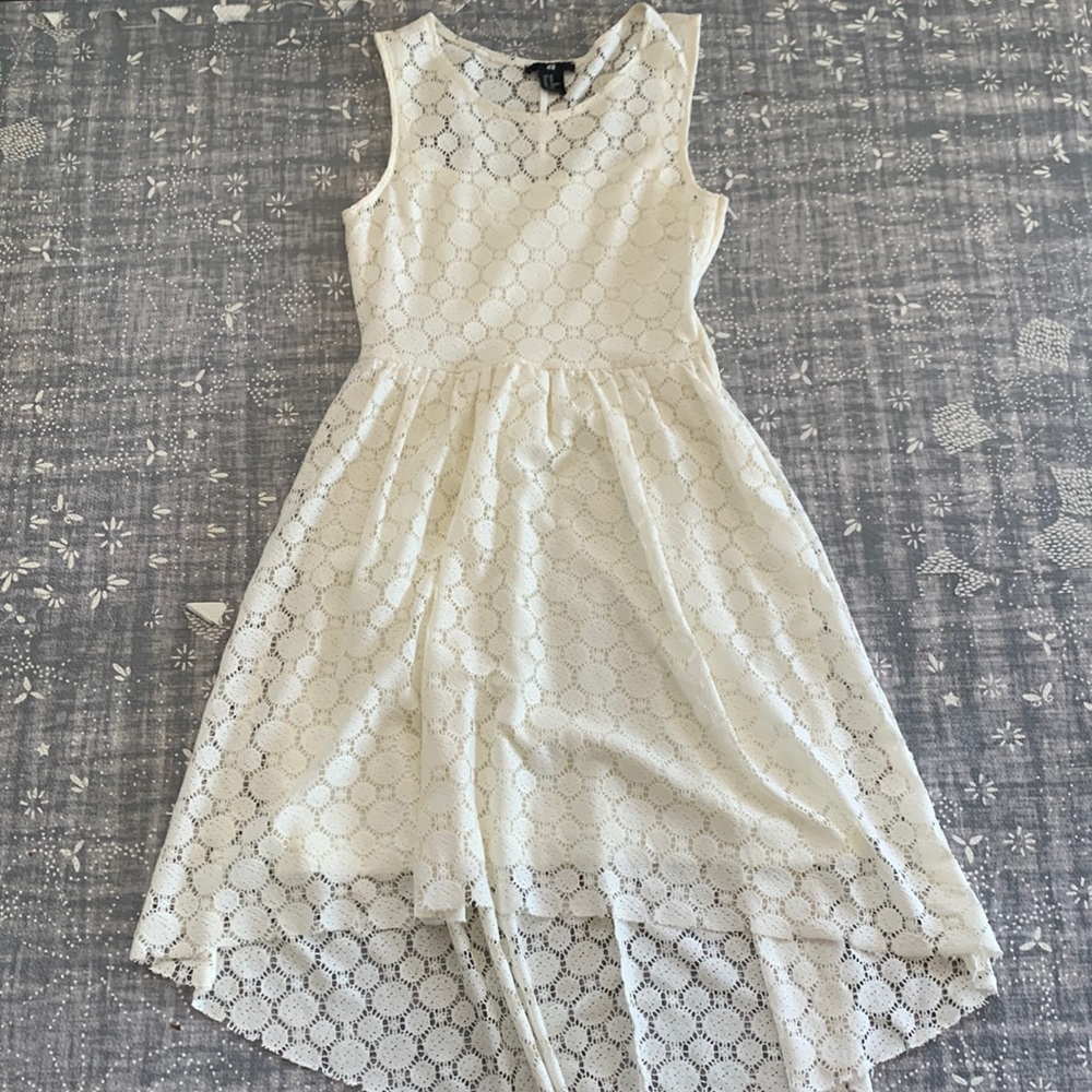 Lace bias cut dress